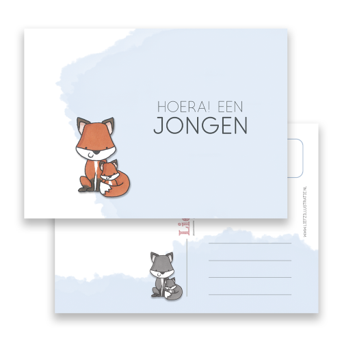 Ansichtkaart Vos Jongen